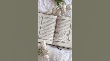 قران كريم # اجر لي ولكم 💗