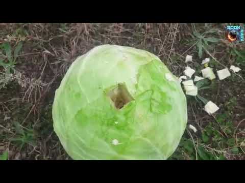 რა მოხდება თუ ავაფეთქებთ ბომბებს