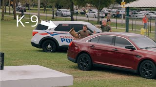 K-9 Police Dog In Action