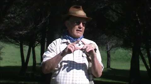 Latin: Willis Jepson