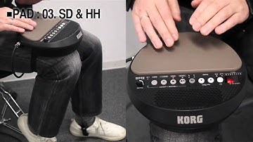 Korg WAVEDRUM Mini Looper Demo/Overview