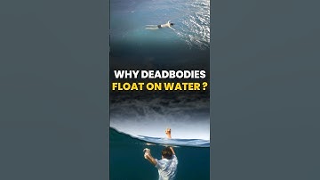Why Deadbodies Float on water ? General Science # parchamclasses #ssc
