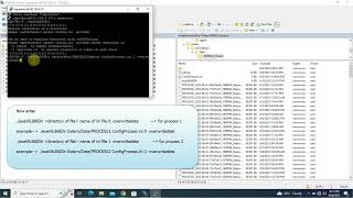 24. Vib360 Reprocessing Of Multiple Raw Files Together