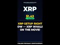 XRP Setup Right Now — XRP Whales On The Move!