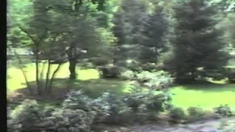 11 ALIVE 10 OCLOCK NEWS TEASE 1985