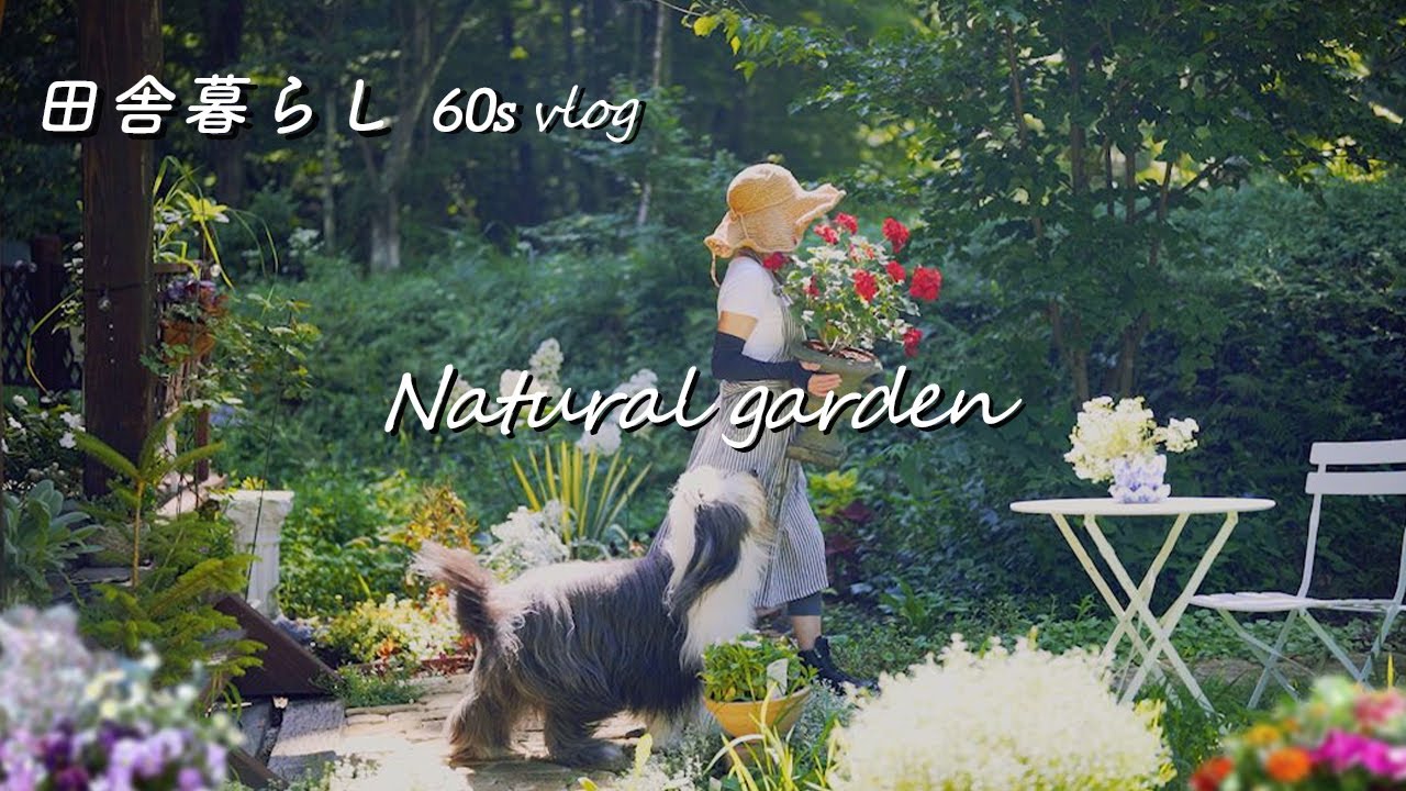 Саду грозит опасность из-за летней погоды / История 90%-ного излечения артроза колена