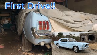 FORGOTTEN Ford Mustang Under House for 21 Years! Rescue Part 2