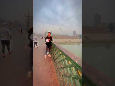 حنين بكد هوى بغداد