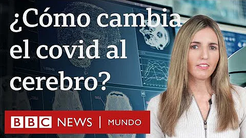 ¿Cómo se siente una infección cerebral?