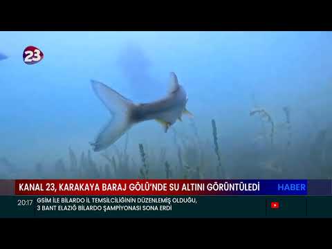KANAL 23 EKİBİ,
