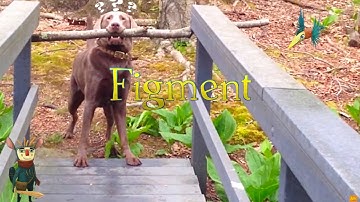 Figment Part 8: Definitely not getting stuck on box puzzles. Nope.