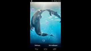 Dolphins Live Wallpaper screenshot 5