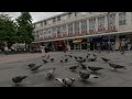 VR180° Market woman scares feeding pigeons away, Sheffield