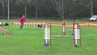 snap starters agility