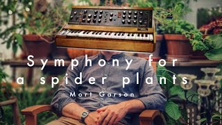 Mort Garson - Symphony for a spider plant ( intro )