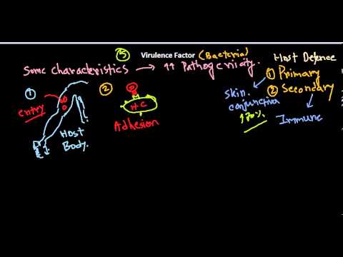 Virulence factors of bacteria