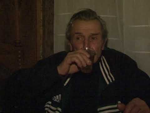 ბარბარეს დაბიდუბი 2009