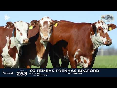 LOTE 253   TAT 0821, 0839, 0629 BRAFORD F