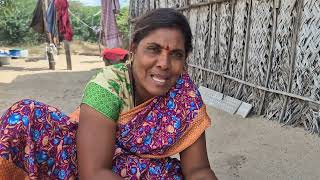 பல வகயன நணட படட சயத நணட வறவல பழய கஞச அரமயன சபபட