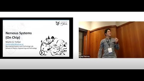 Martin Trefzer - Nervous Systems