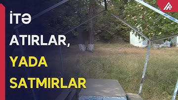 Nabranda taleyin ümidinə qalan obyektlər - istifadəsiz obyektlər niyə icarəyə verilmir? - APA TV