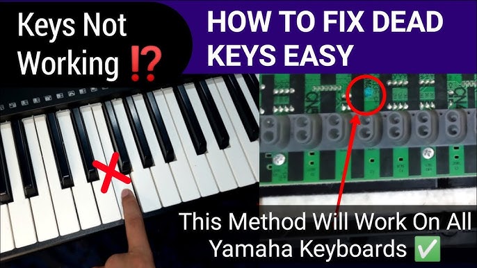 Why Do Piano Keys Stop Working  