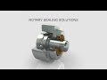 Rotary sealing solutions radial oil seals and vrings