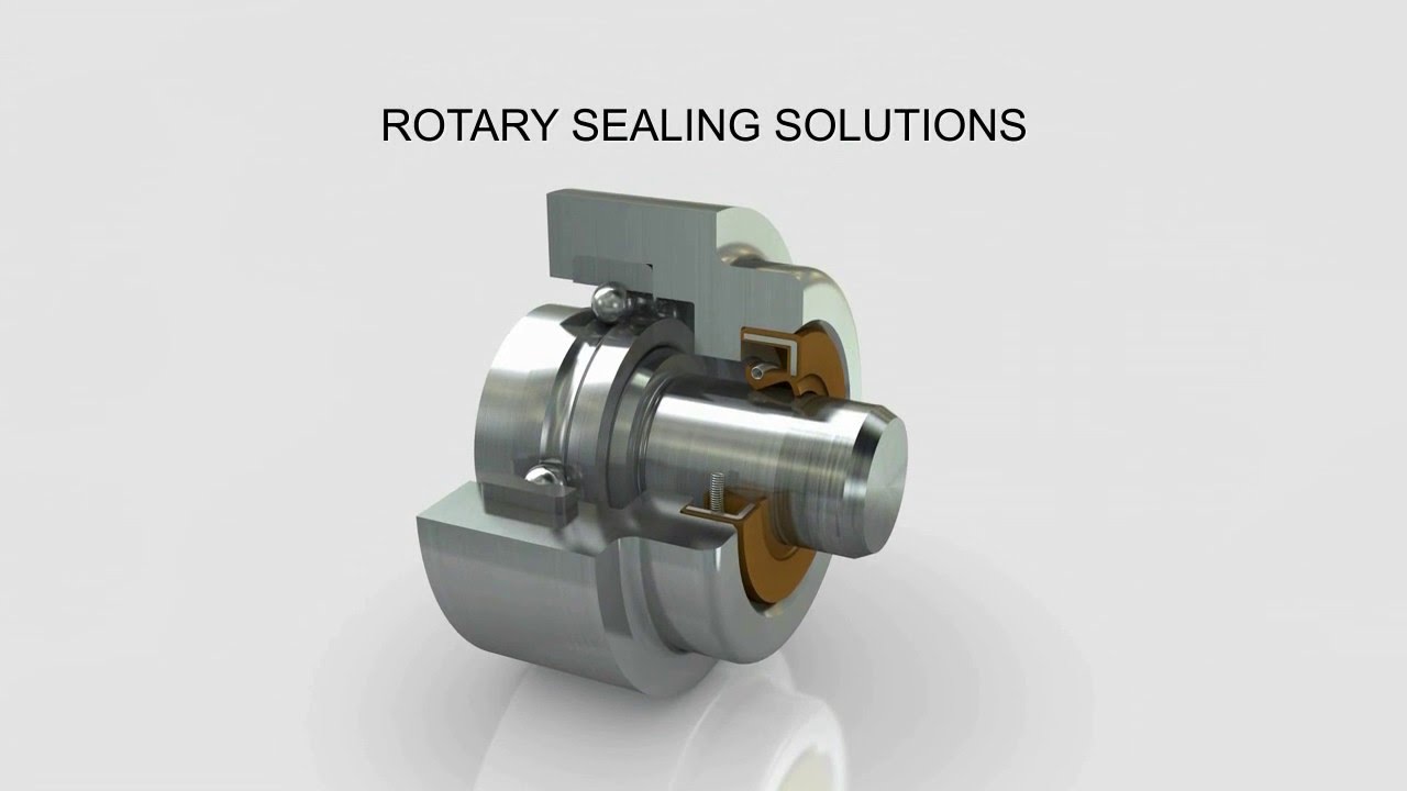 Radial Shaft Seals | High-quality Rotary Shaft Seal Supplier - Well Oil Seal