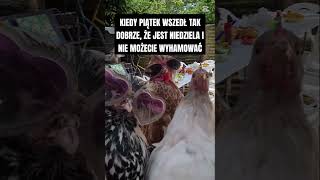 Długi piątek #impreza #piątek #poprawiny #afterek #afterparty