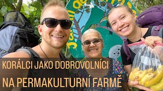 Kostarika #3 Korálci jako dobrovolníci na farmě Jardin de Permacultura Aguila // English subtitles