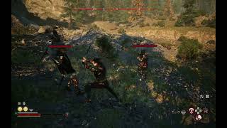 Auto Parry (Hold Block to Parry) mod showcase for The Blood of Dawnwalker