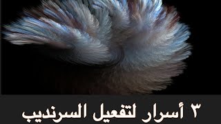٣ أسرار للدخول في السرنديب