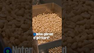 Thumbnail for Noten: gebrand of gefrituurd? | Keuringsdient van waarde S24#14 | KRO-NCRV