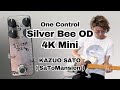 One control silver bee od 4k mini  satomansion