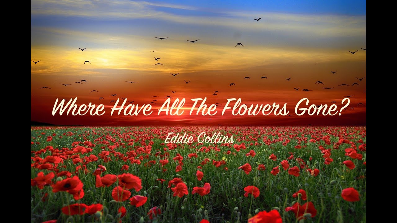 Where Have All The Flowers Gone? YouTube