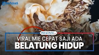 Viral Mie Cepat Saji Ada Belatung