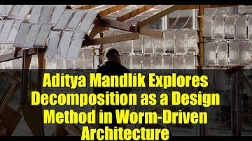 Aditya Mandlik Explores Decomposition as a Design Method in Worm-Driven Architecture