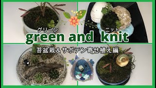 Green and Knit  苔盆栽体験ワークショップ！