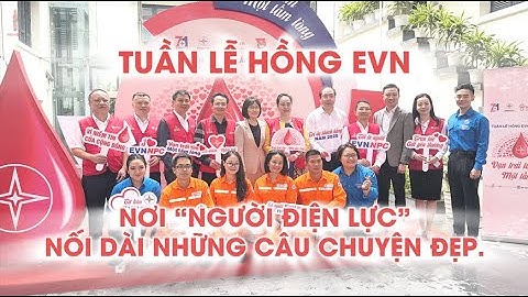 Tuần lễ hồng EVN – Nơi “người điện lực” nối dài những câu chuyện đẹp