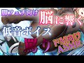 【ASMR/ドM向け/足フェチ/タイツフェチ】高音質脚フェチドM向け生配信■タイツですりすり？それだけじゃ済ませないからね？脚が好きなら跪いて懇願なさい？【セクシーボイス/低音ボイス】【Vtuber】