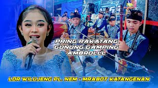 Ldr Wilujeng Pl. Nem - Mrabot Katangenan - Jiwangga Music Sragen / ARS Jilid 4 - Aditjaya Pictures
