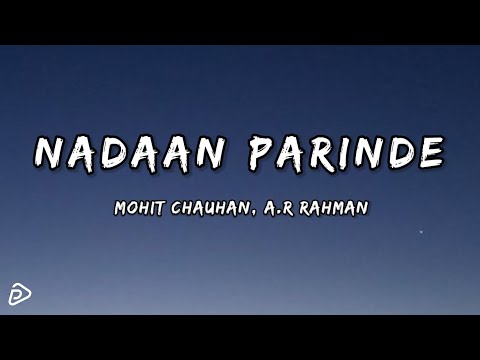 NADAAN PARINDE (LYRICS)
