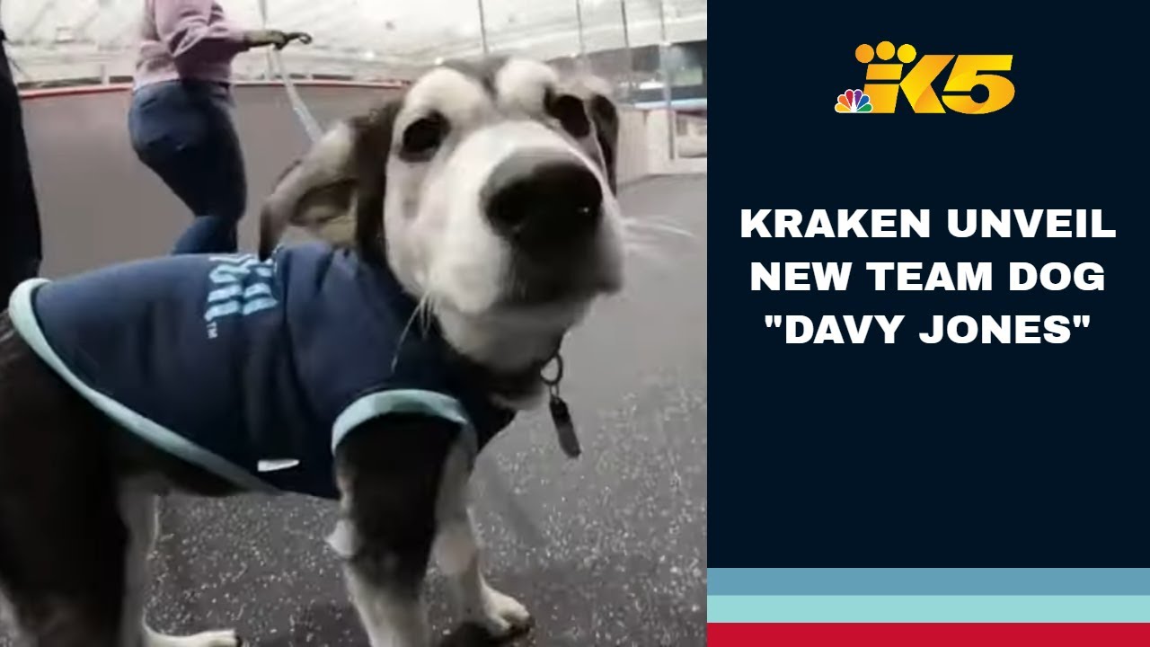 Meet Davy Jones — The Kraken team dog! - New Day NW