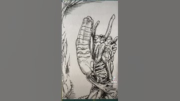 Xenomorph Boiler #youtubeshorts #alien #xenomorph #avp #alienvspredator #art #drawing