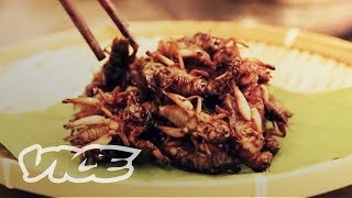 Inside China's Bug-Eating Industry (Part 1)