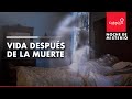 Vida después de la muerte: ¿Qué hay en el más allá? | Caracol Radio