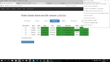 Threshold Public Goods Game on oTree Guide