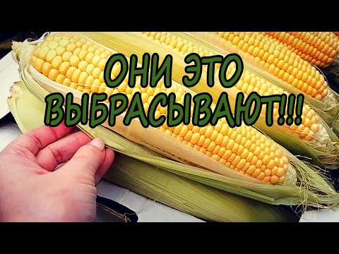 Поделки из кукурузных початков своими руками