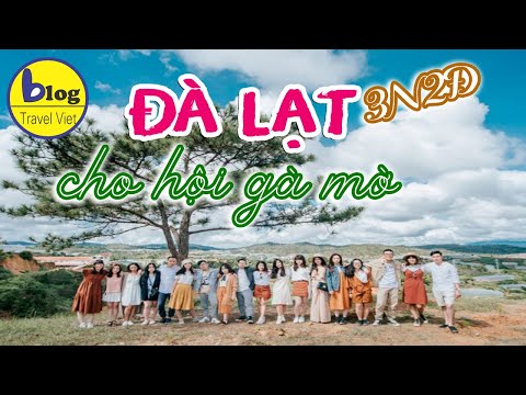 #1 Kinh nghiệm du lịch Đà Lạt 3 ngày 2 đêm siêu tiết kiệm cho người lần đầu tiên Mới Nhất 2 #1 Kinh nghiệm du lịch Đà Lạt 3 ngày 2 đêm siêu tiết kiệm cho người lần đầu tiên Mới Nhất