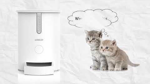 Petwant Smart Automatic Pet Feeder for Cats